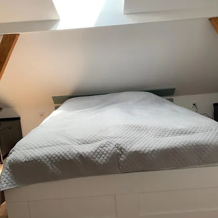 Viki Apartmanhaz * Dorog