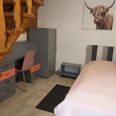 Viki Apartmanhaz Dorog