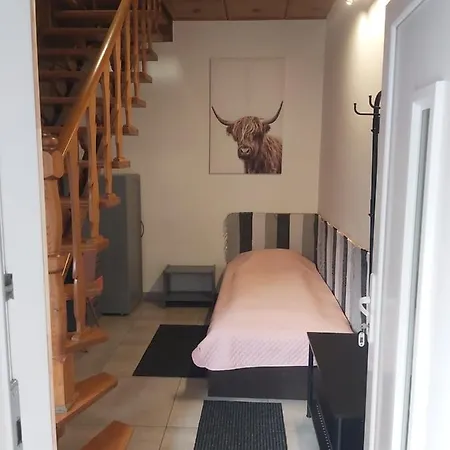 Viki Apartmanhaz Apartment