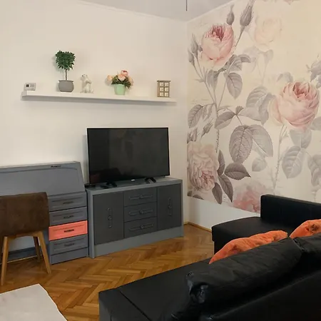 Viki Apartmanhaz Dorog