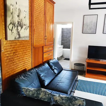 Viki Apartmanhaz *